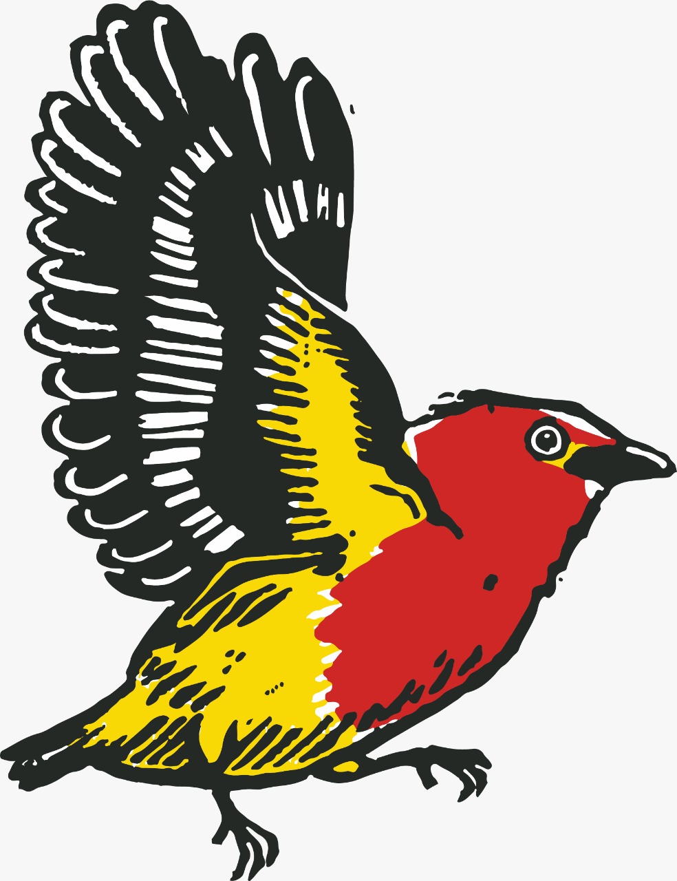 UIRAPURU CONSULTORIA